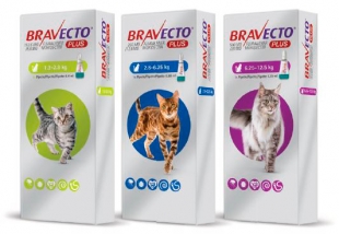 BRAVECTO PLUS CAT